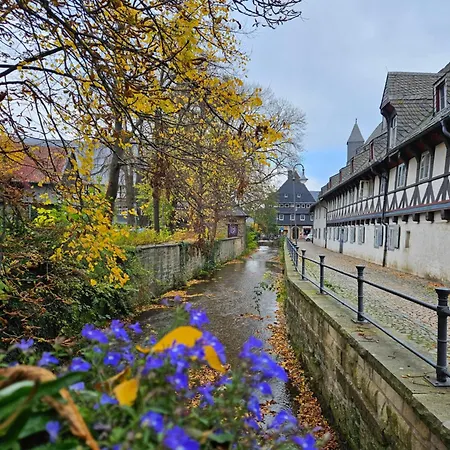 Im Schoenen Denkmalgeschuetzten Ritter Ramm - Altstadt Vor Der Tuer - Barrierefrei - Mit Homeoffice - Wlan Und Tv - Willkommen Goslar