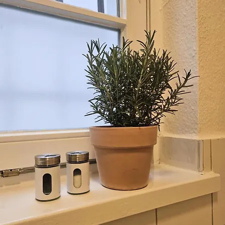 Im Schoenen Denkmalgeschuetzten Ritter Ramm - Altstadt Vor Der Tuer - Barrierefrei - Mit Homeoffice - Wlan Und Tv - Willkommen جوسلار